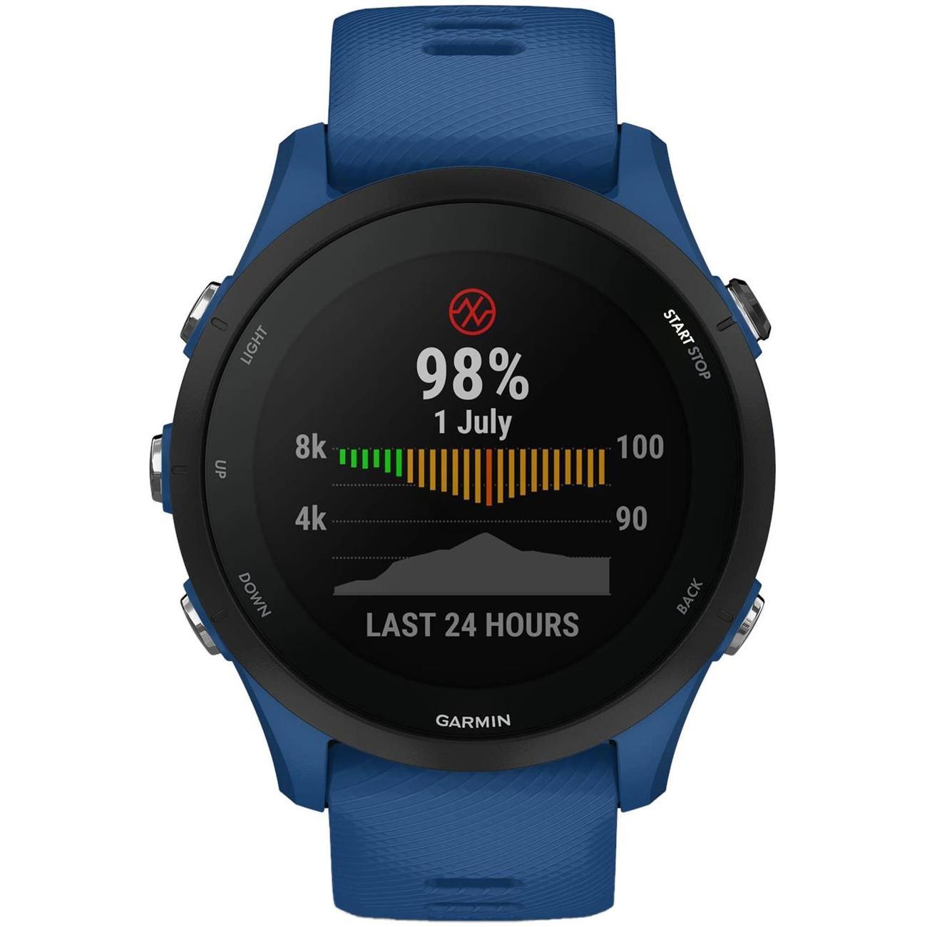 Смарт-часы Garmin Forerunner 255 (010-02641-11)