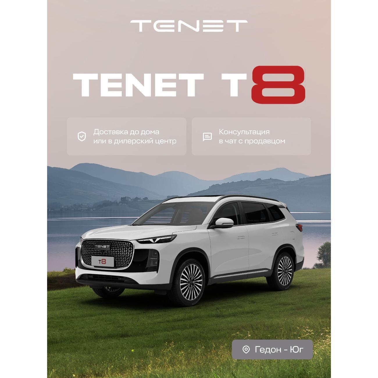 Автомобиль бензиновый TENET T8