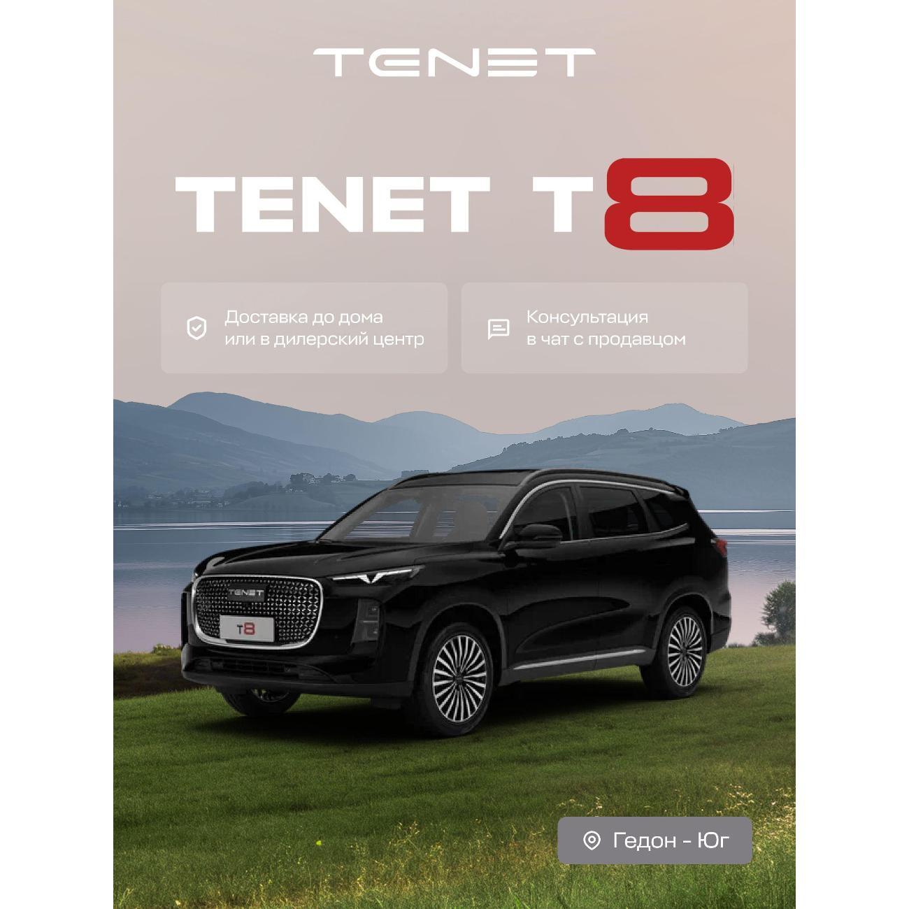 Автомобиль бензиновый TENET T8