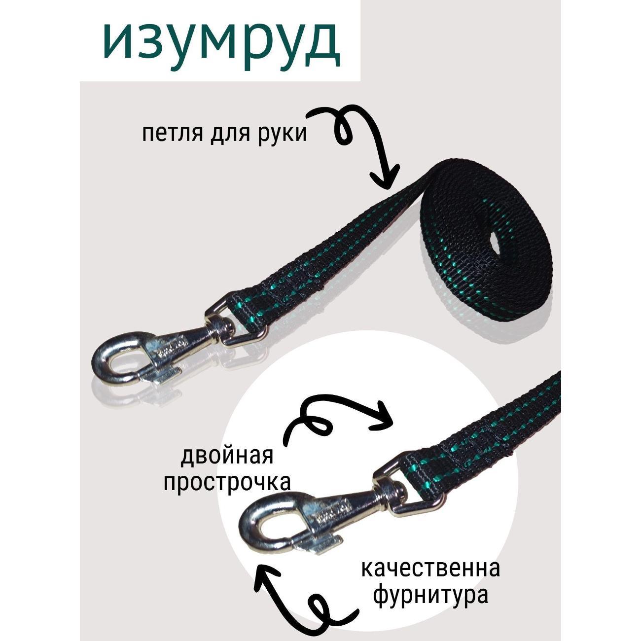 Поводок AuraPet 3 *2