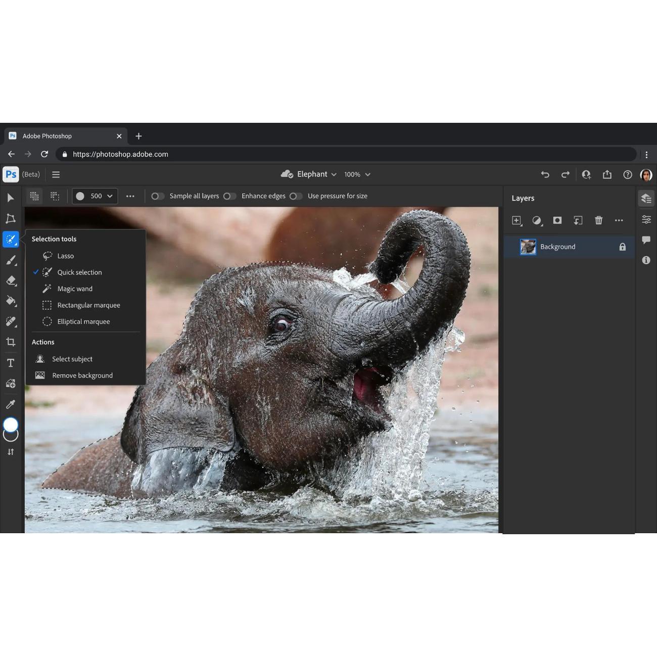 Программное обеспечение (компьютеры) Adobe Adobe Creative Cloud 2026 4 pk RU Бизнес Original