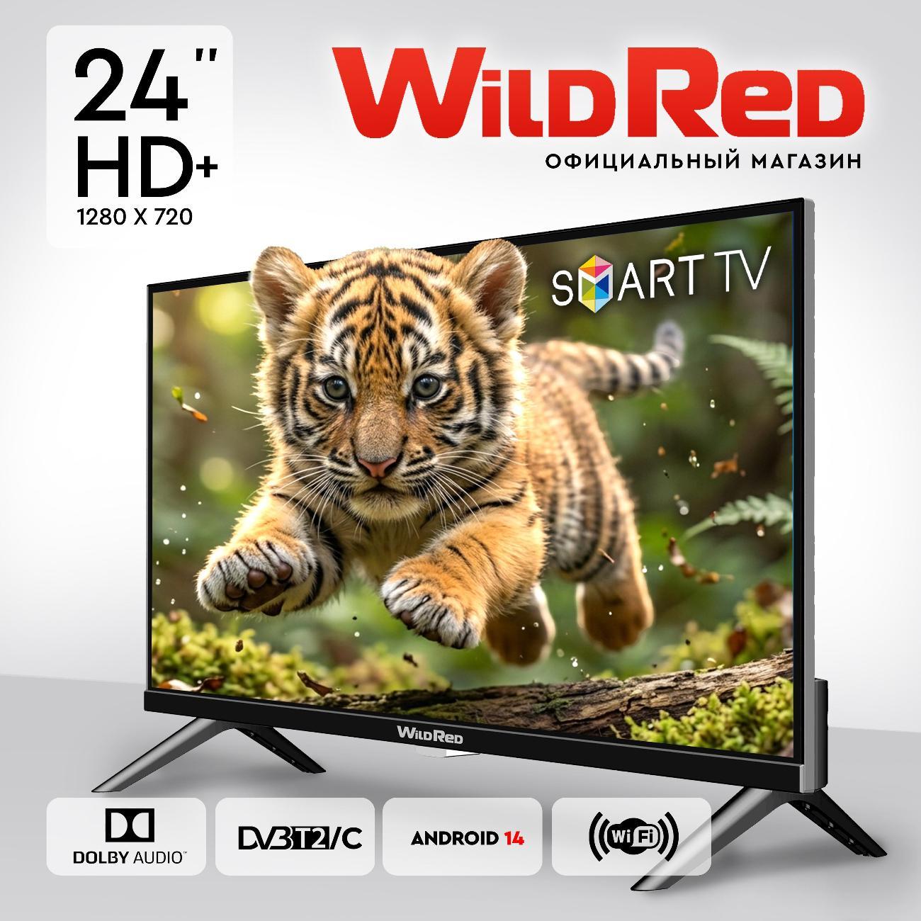 Телевизор WildRed 24QWS9001 фото