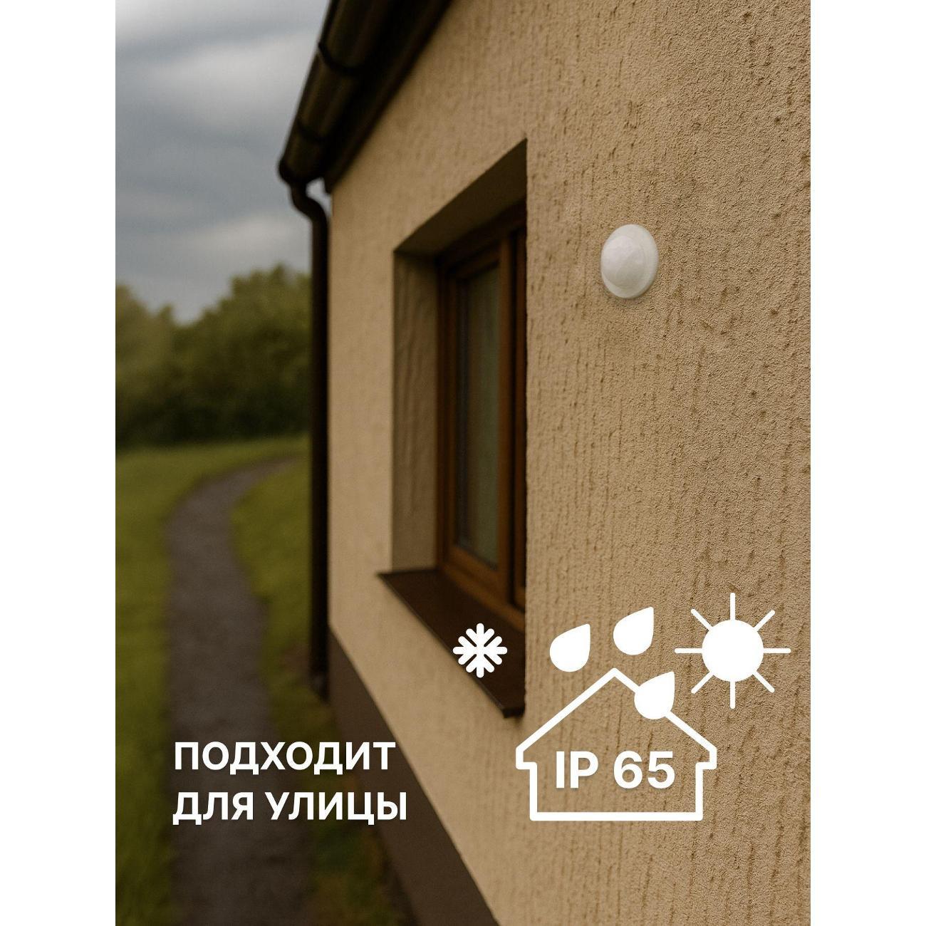 Датчик движения Duwi Профи