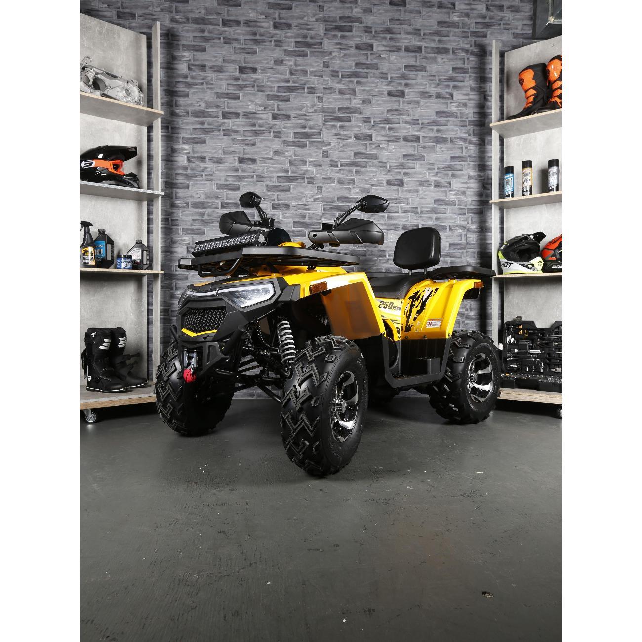 Квадроцикл Avantis Квадроцикл Avantis Hunter 250 Big New Premium