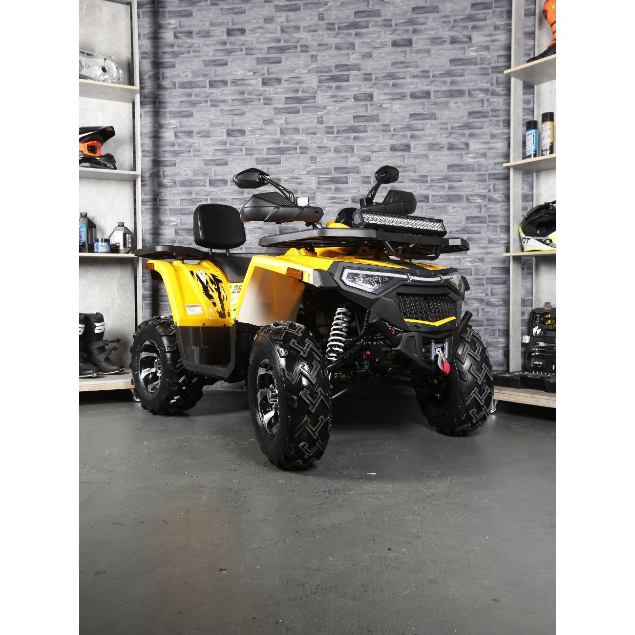 Квадроцикл Avantis Квадроцикл Avantis Hunter 250 Big New Premium