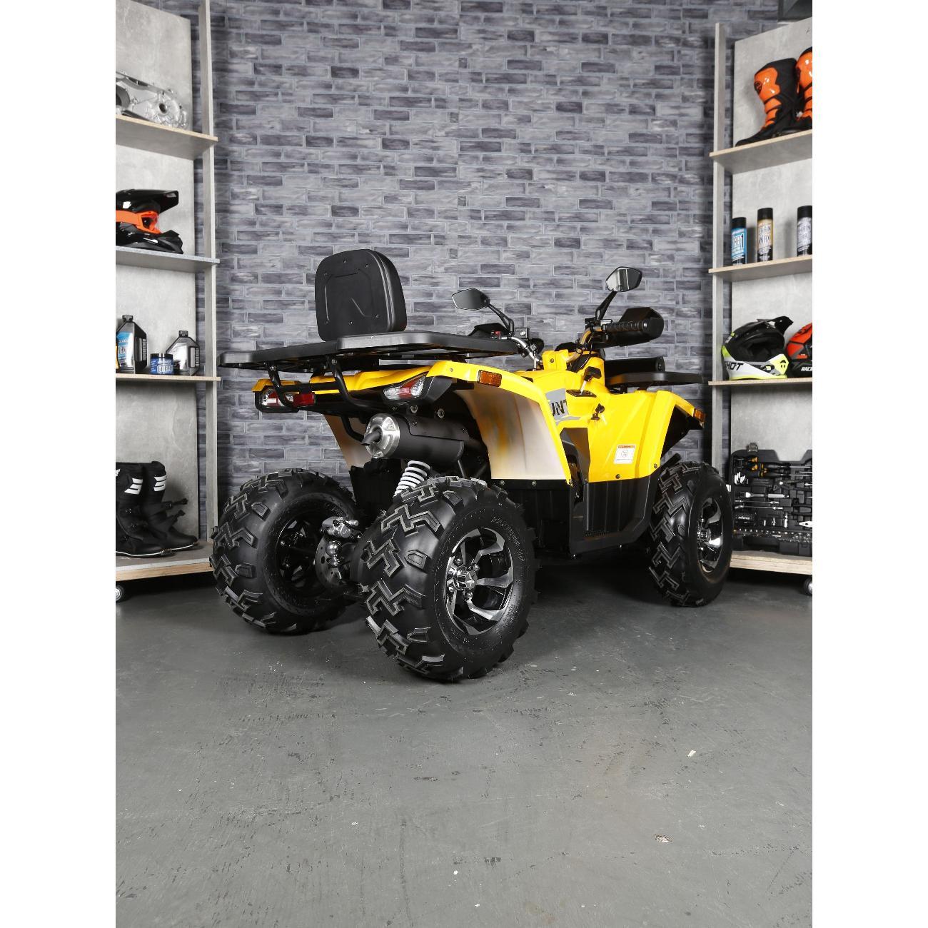 Квадроцикл Avantis Квадроцикл Avantis Hunter 250 Big New Premium