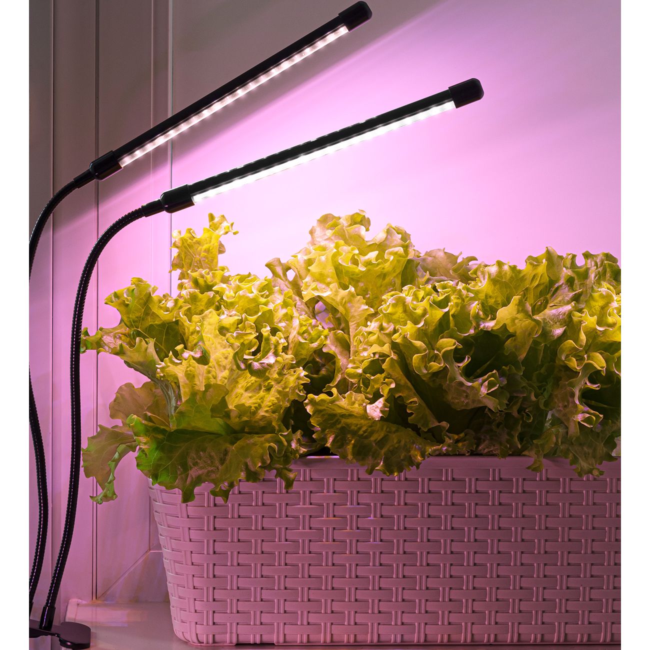 Светильник для растений ARTSTYLE TL-FC03S2 Black