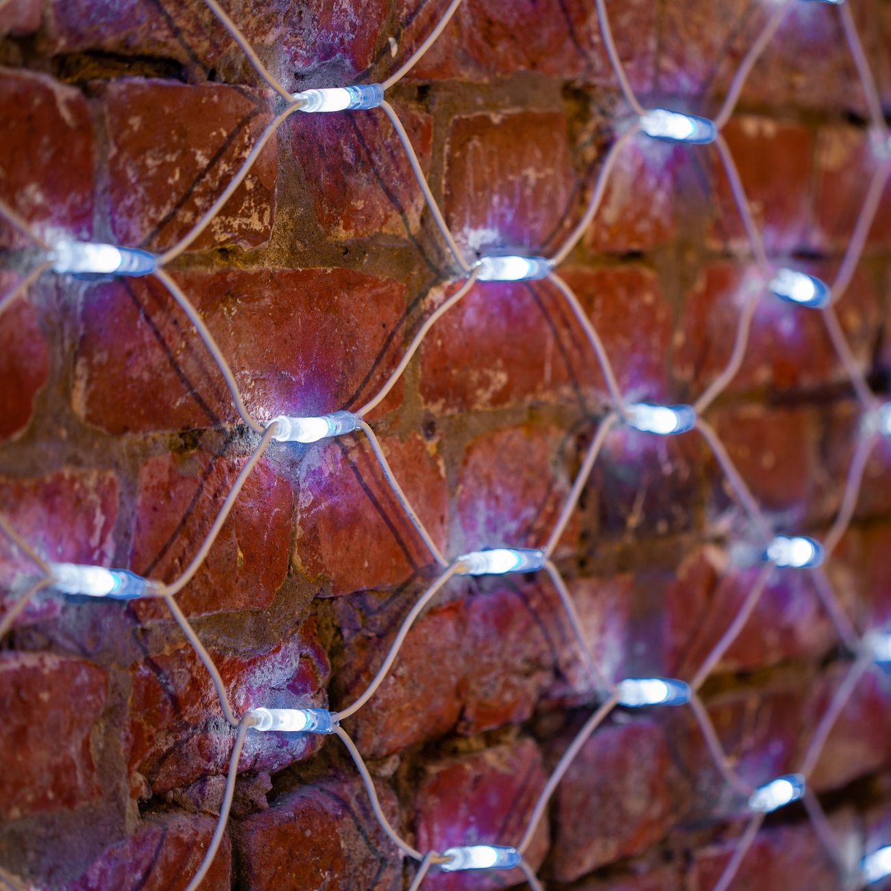 Гирлянда светодиодная NEON-NIGHT 2x3 м, белый каучук фото