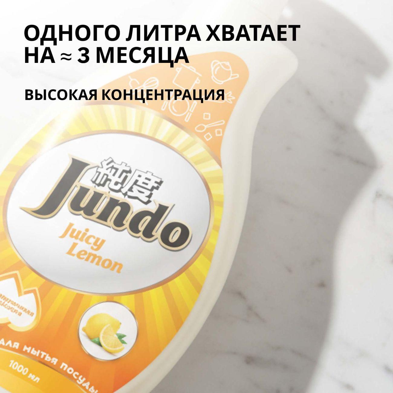 Гель для мытья посуды Jundo Premium Juicy Lemon 1 л