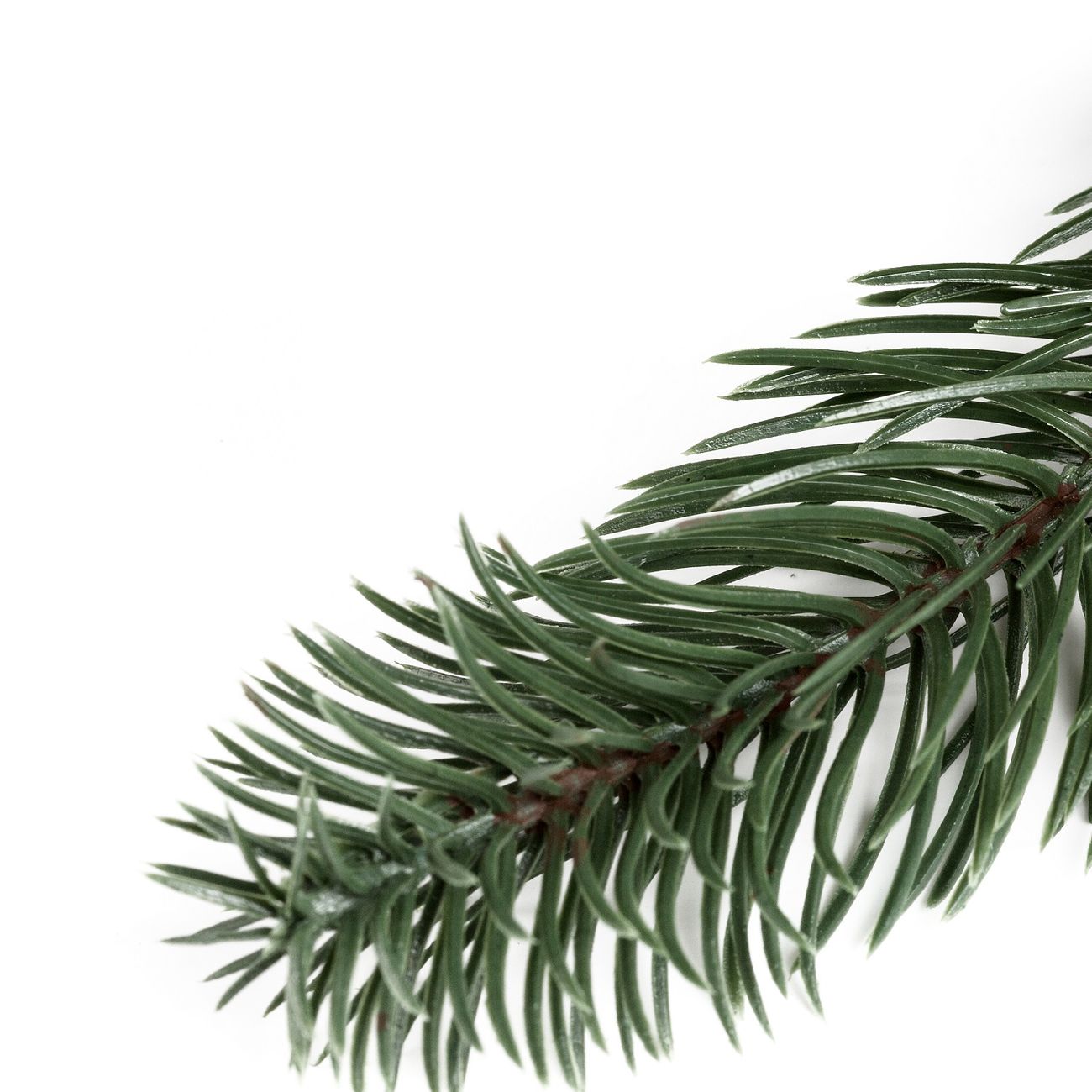 Еловый венок с шишками NEON-NIGHT еловый литой с шишками d 45см (307-144)