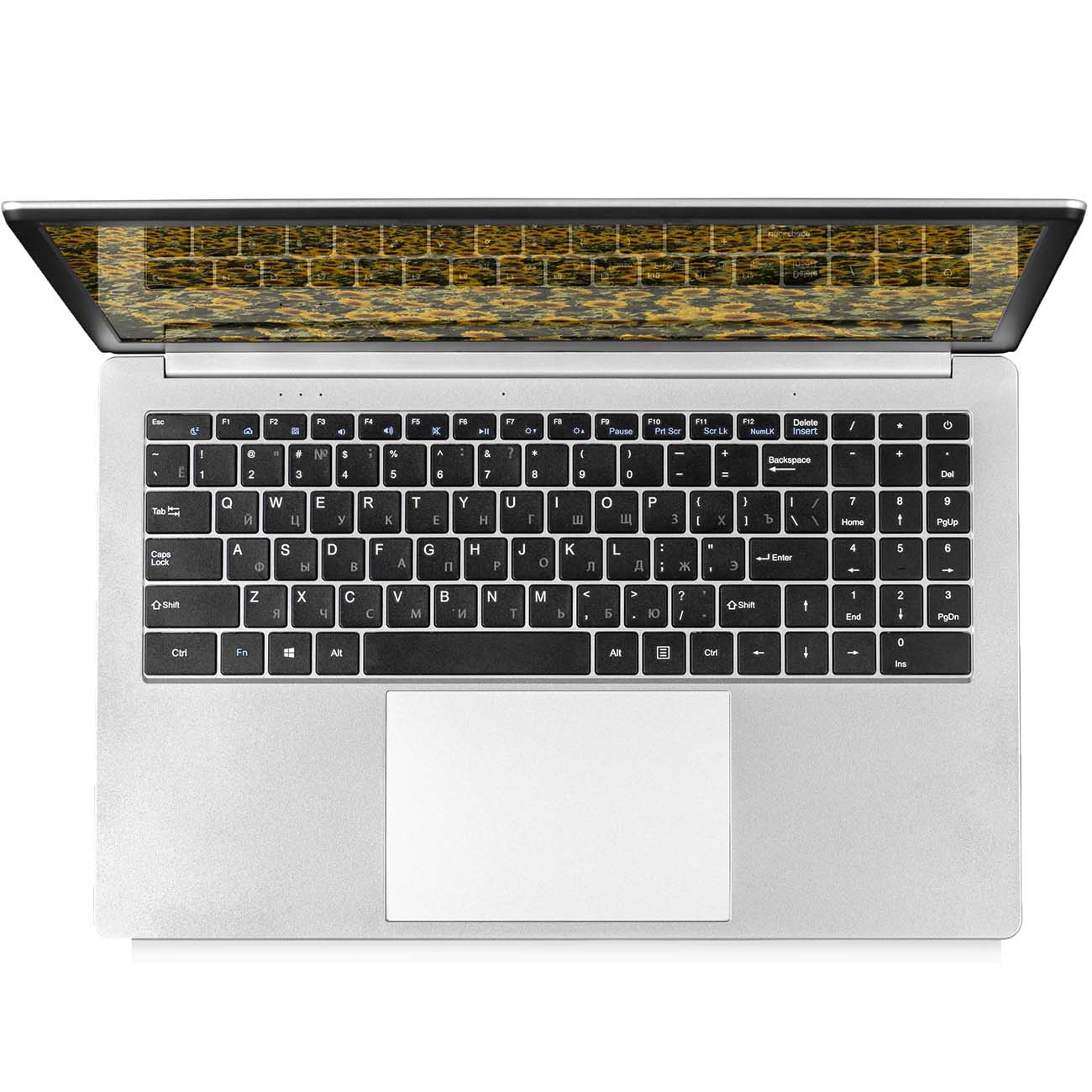 Ноутбук Echips Casual 240GB