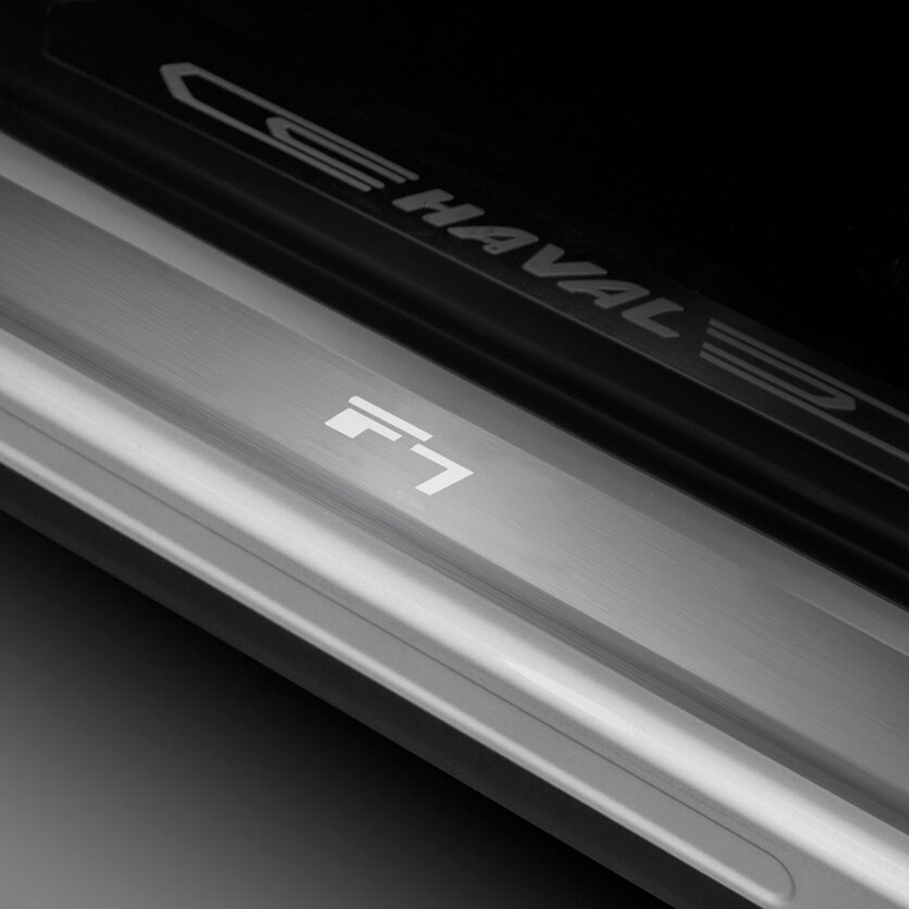 Накладки защитные Rival HAVAL F7/ F7x 2019+/2019+ (NP.9401.3)