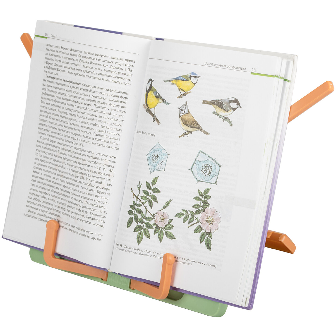 Подставка Юнландия светло-зелёная