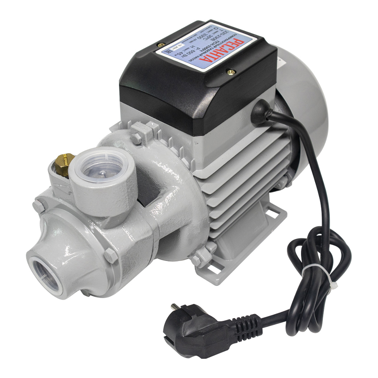 Насос поверхностный Ресанта ПСН-3300Ч (77/4/3)