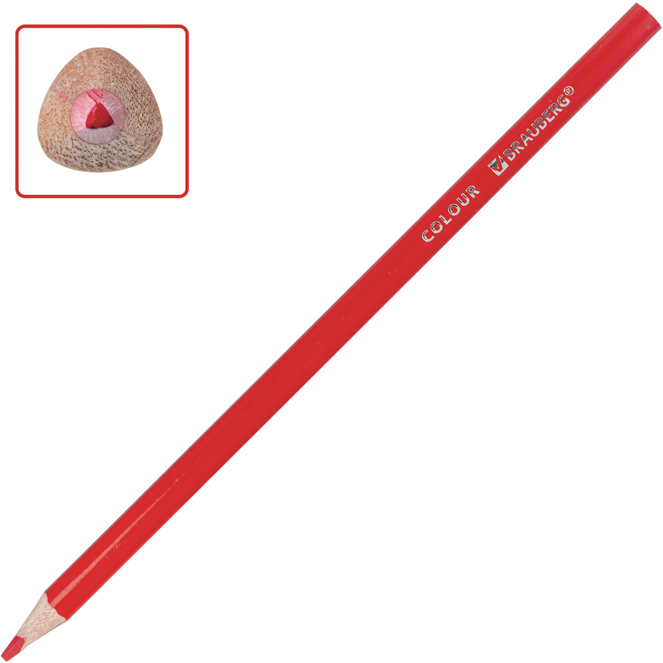 Карандаши Brauberg 36цв (880539)