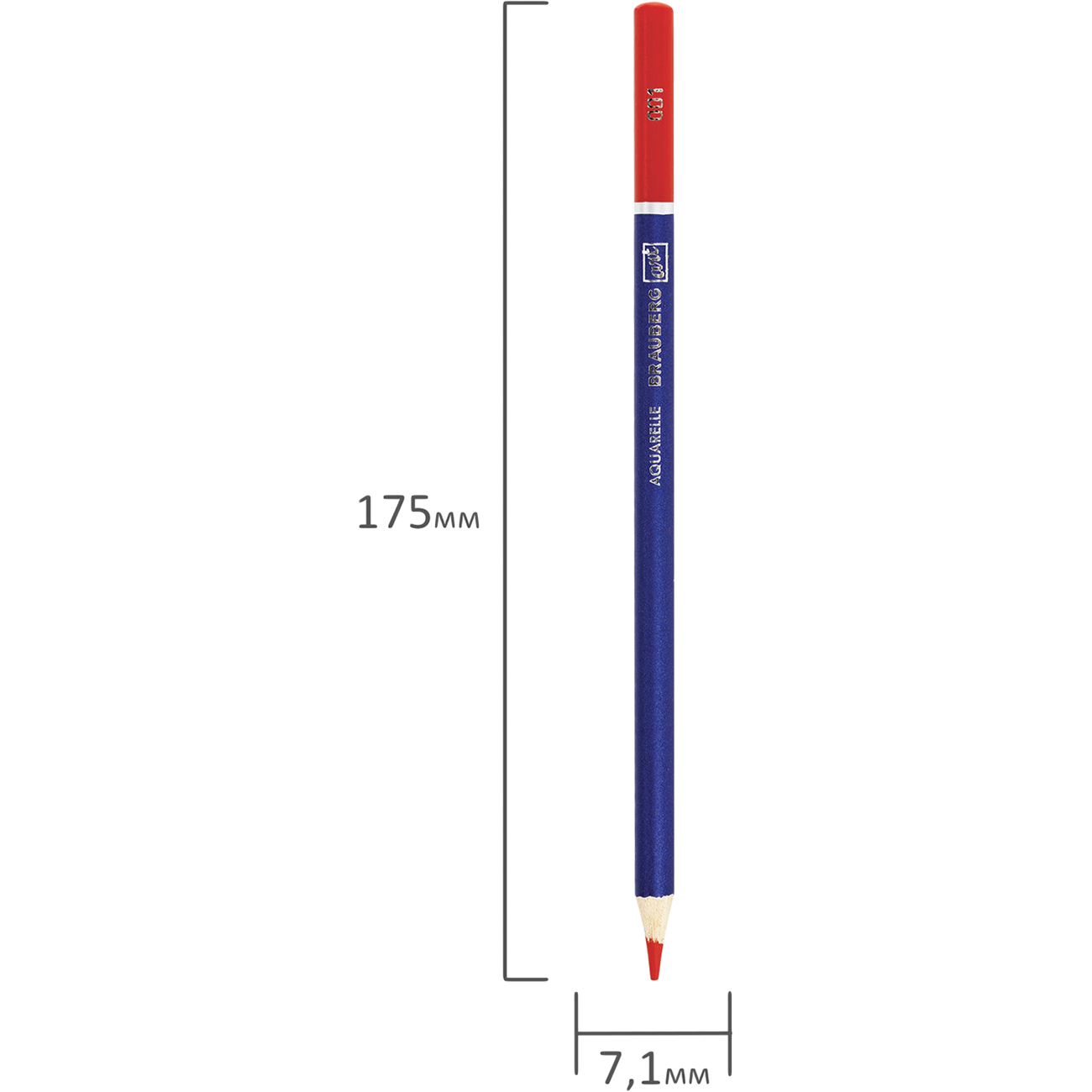 Карандаши Brauberg 24цв (880552)
