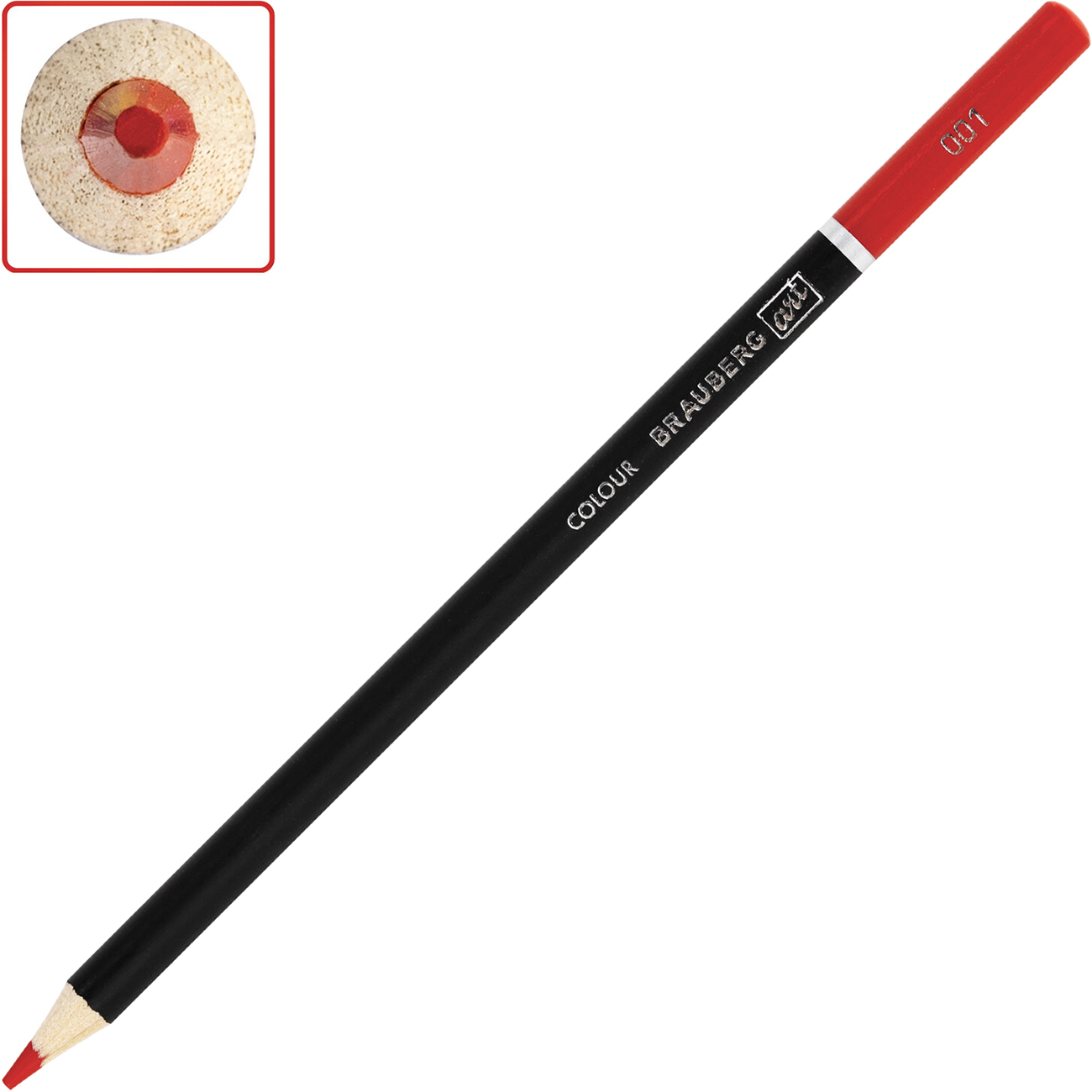 Карандаши Brauberg 48цв (880557)