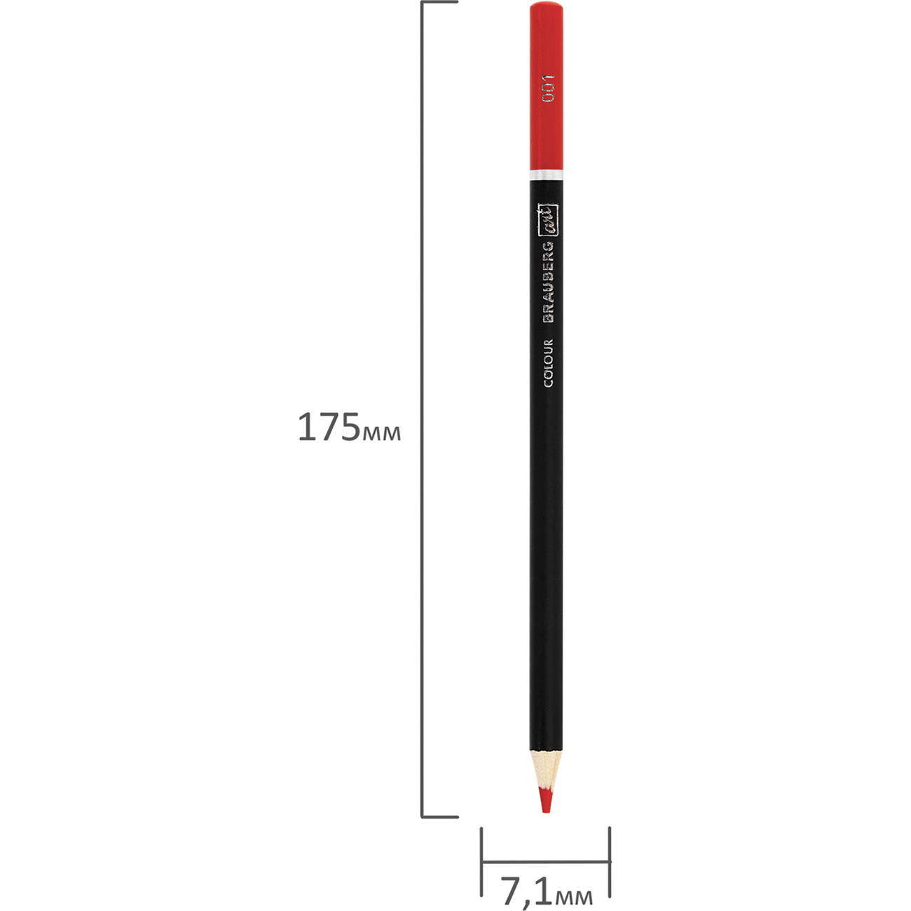 Карандаши Brauberg 48цв (880557)