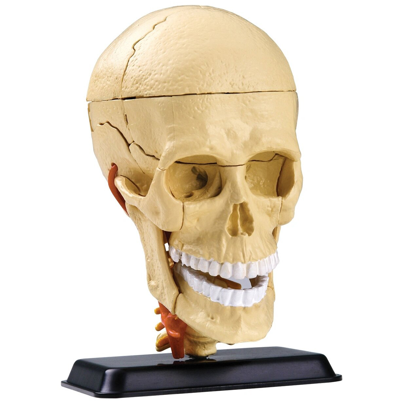 Сборное моделирование Edu-Toys SK010