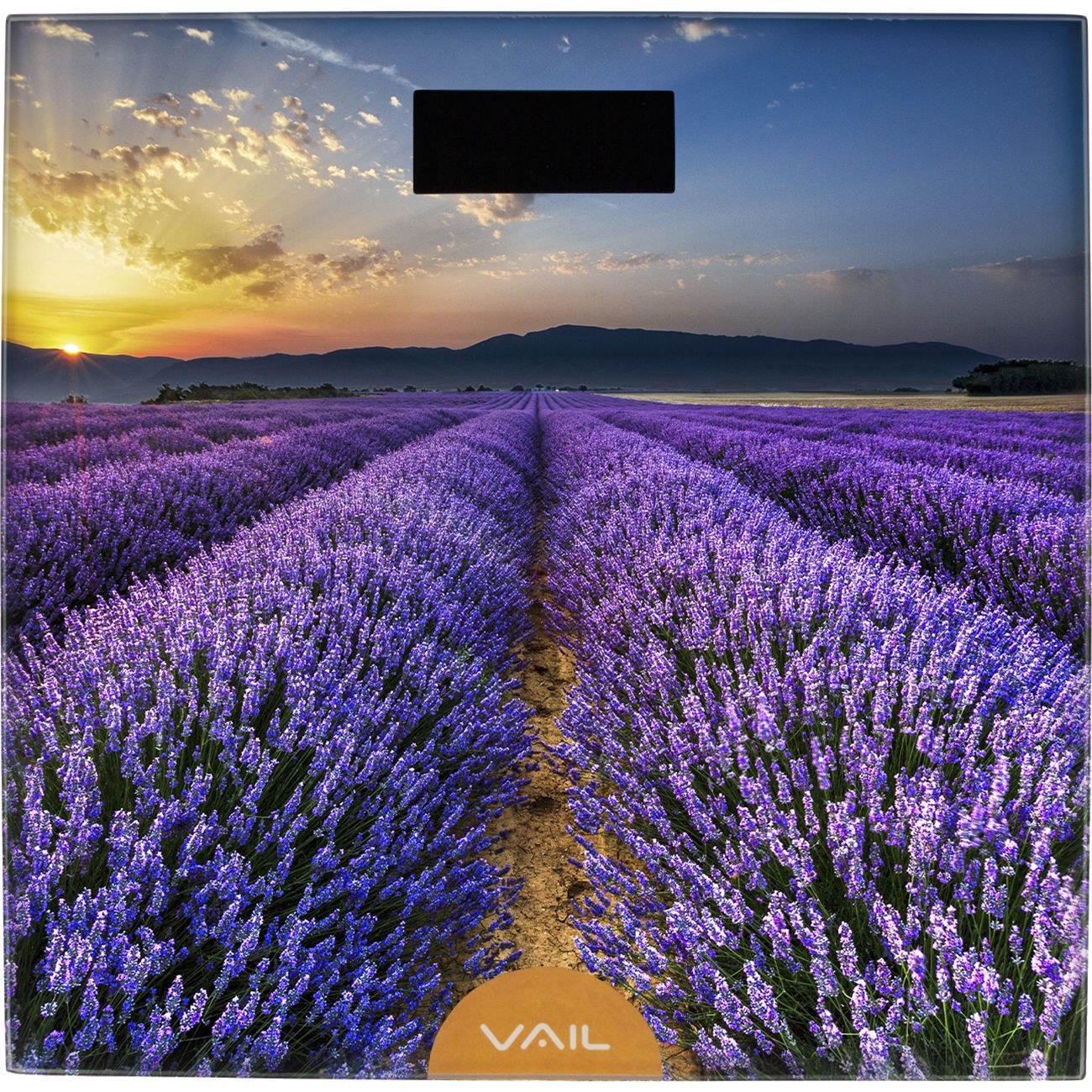 Весы напольные VAIL VL-4203