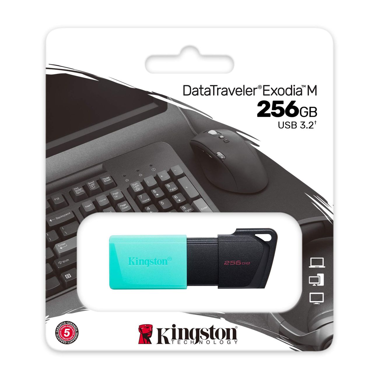 Флэш диск USB Kingston DataTraveler Exodia M 256GB (DTXM/256GB)