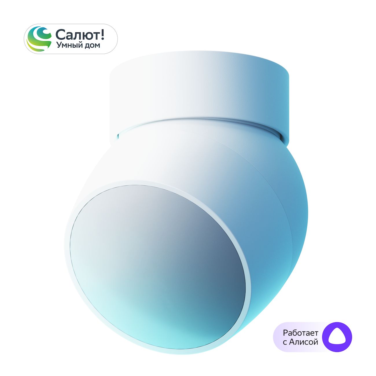 Датчик движения и света Sber SBDV-00029 фото