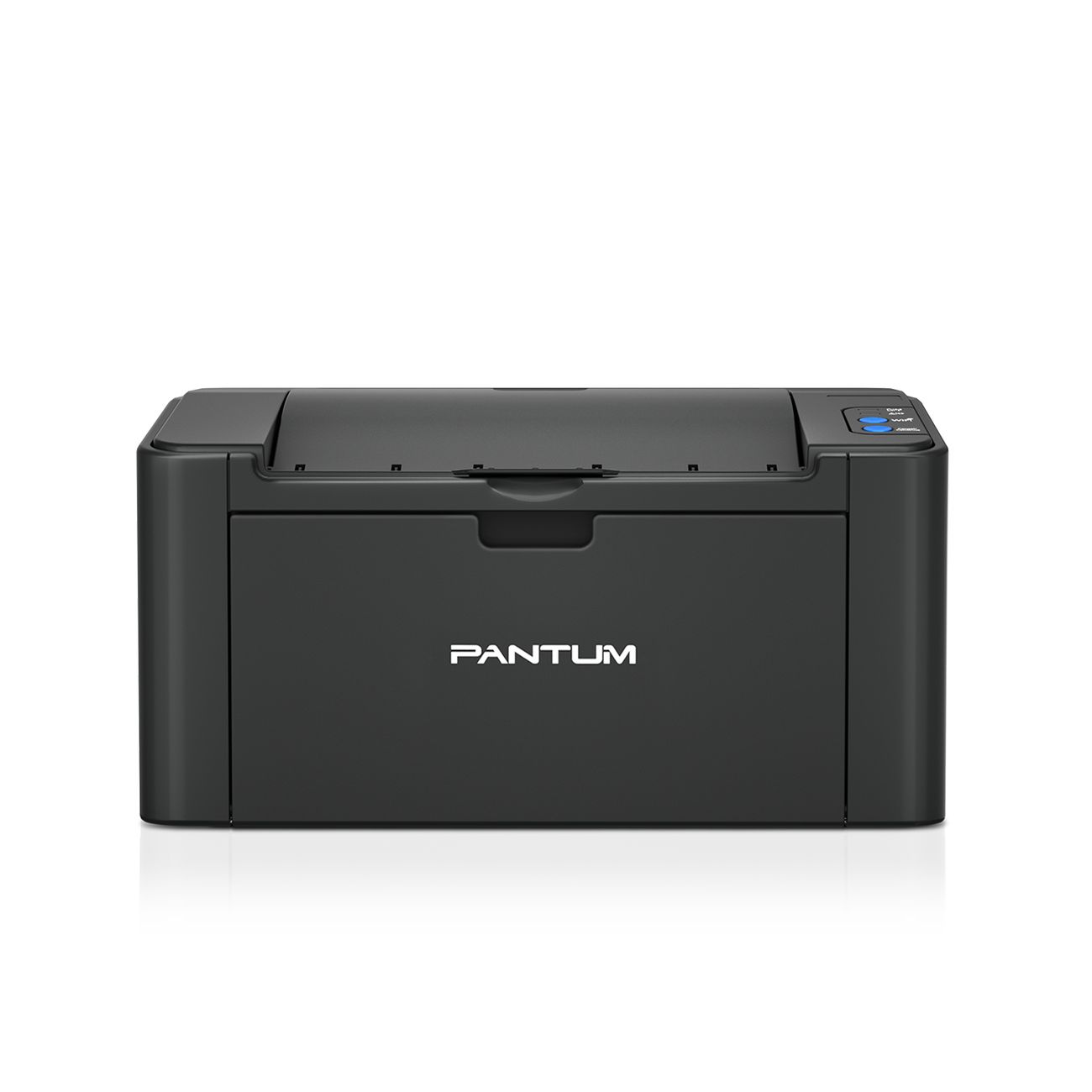 Лазерный принтер (чер-бел) Pantum P2500W фото