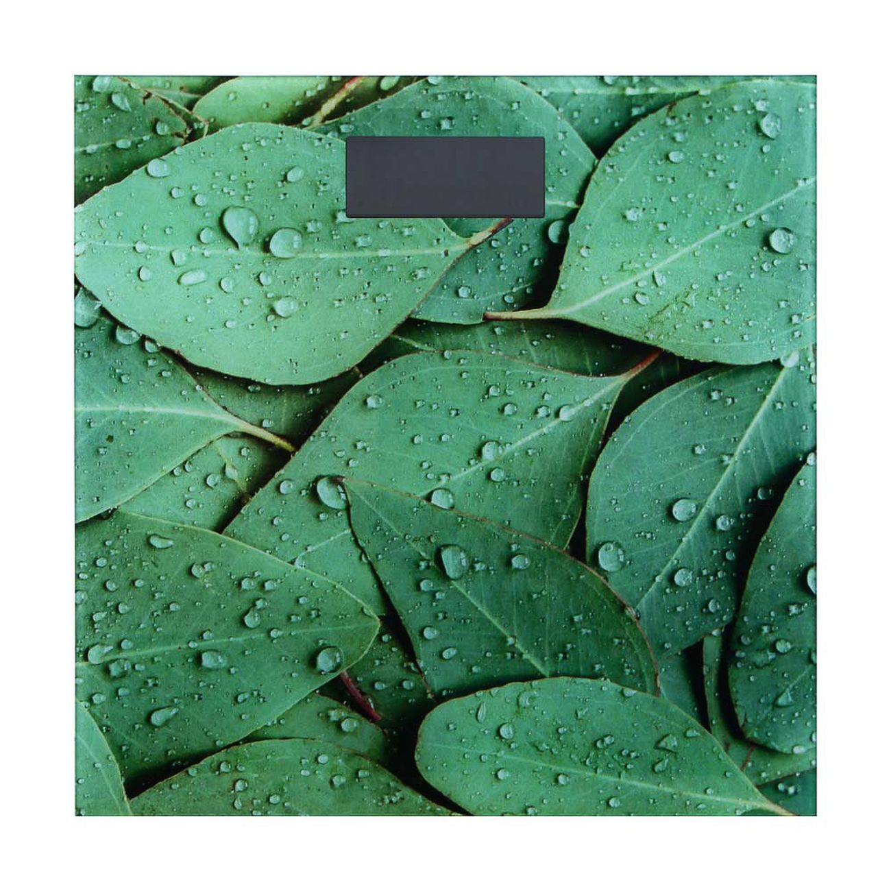 Весы напольные NoBrand 252-053