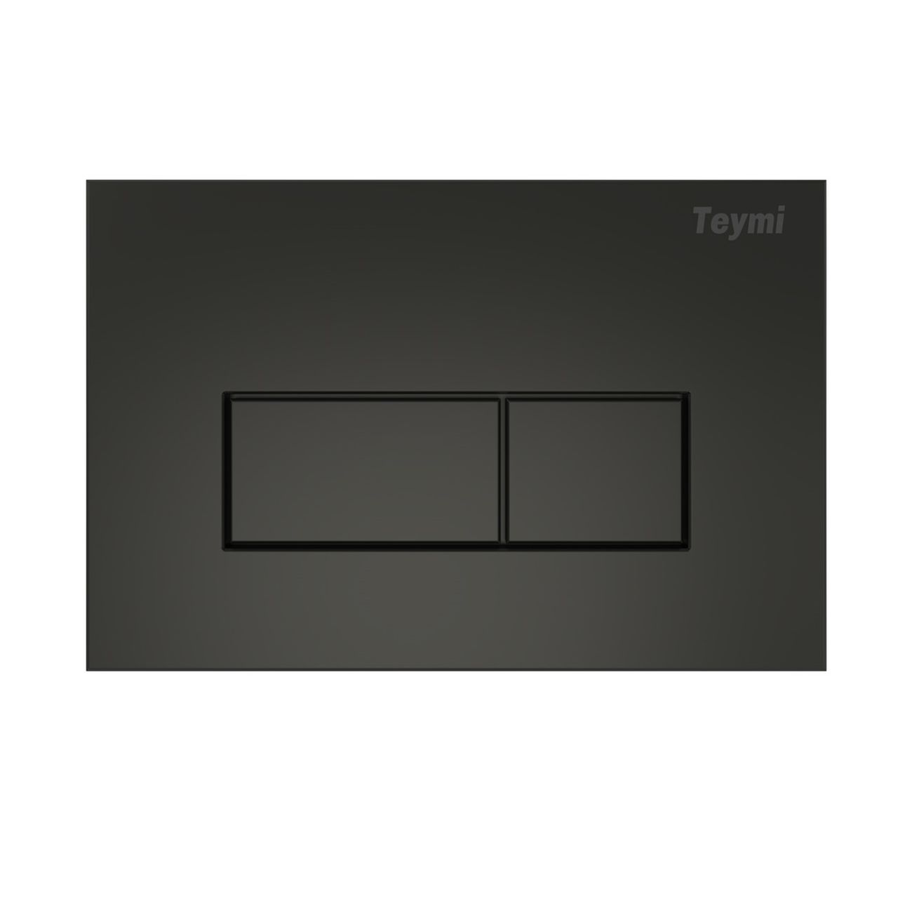 Унитаз Teymi T70035/T70203BM/T40201MB