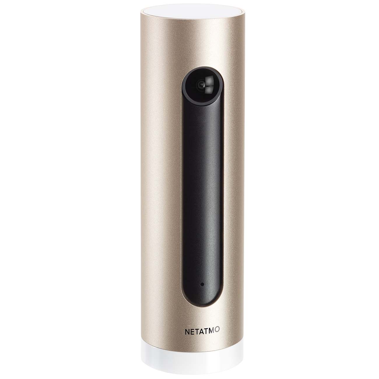 Умная комнатная камера видеонаблюдения Netatmo Welcome Camera (NSC01-EU) фото
