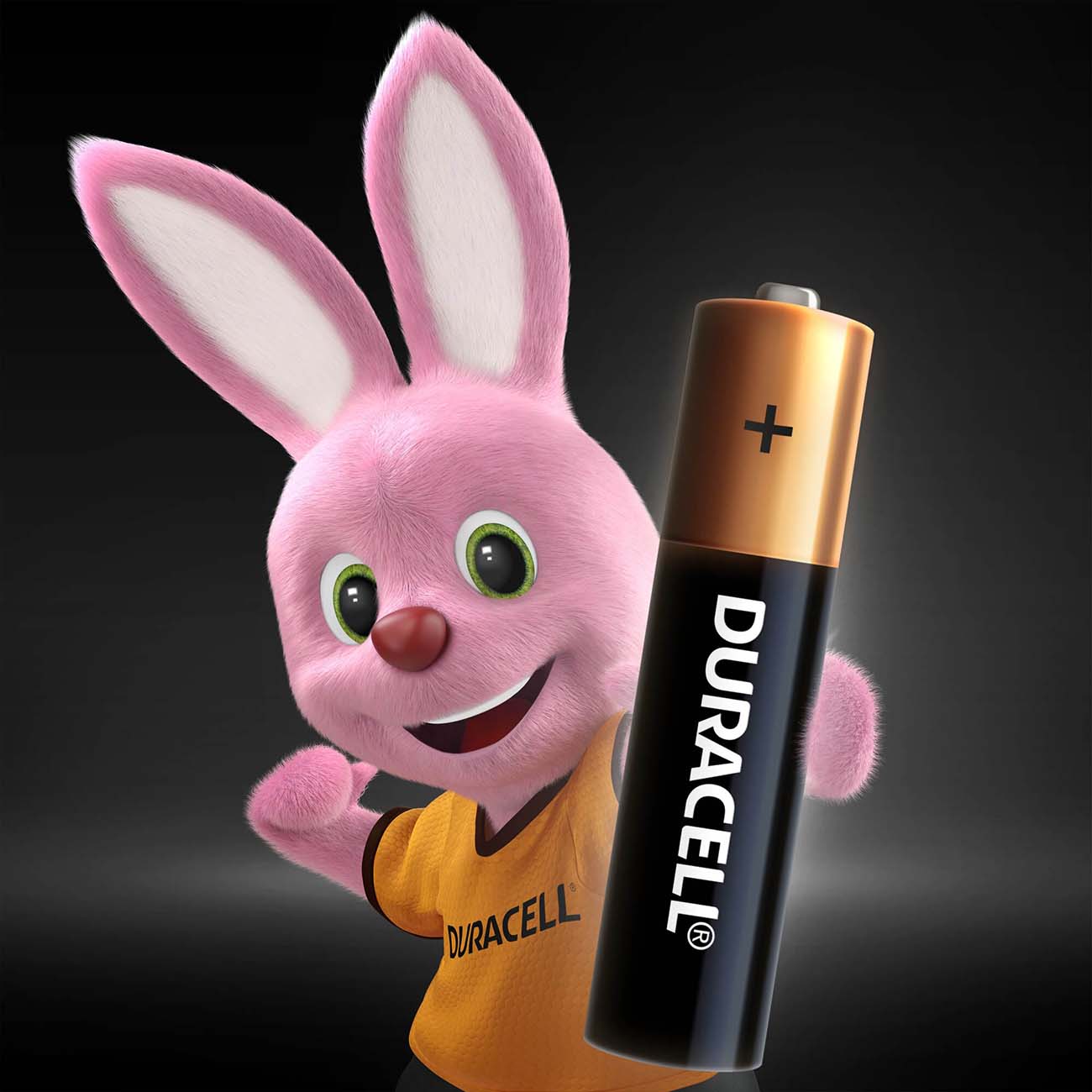 Батарея Duracell Professional AAA LR03/MN2400 6шт.