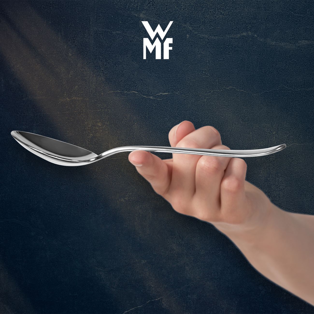 Набор столовых приборов WMF VIRGINIA Cromargan Protect 30 пр. 1142916390