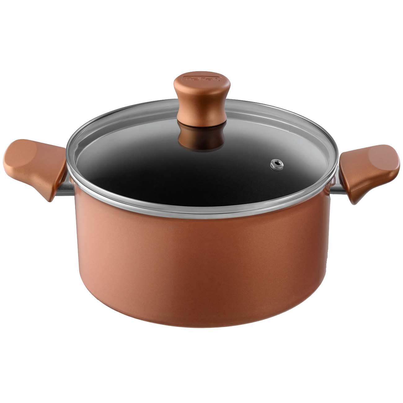 Кастрюля Tefal Performa с крышкой 20 см (04190320)