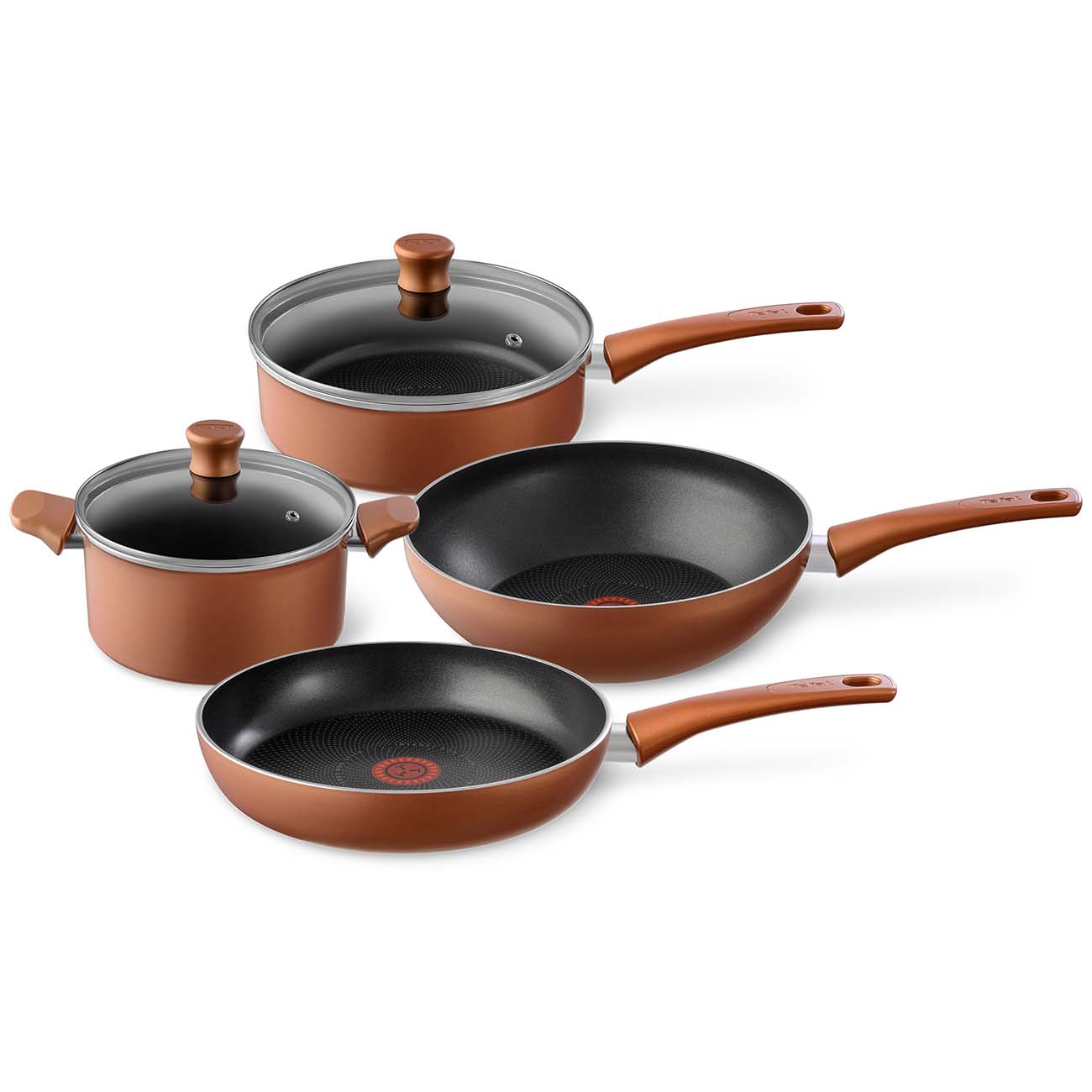 Кастрюля Tefal Performa с крышкой 20 см (04190320)