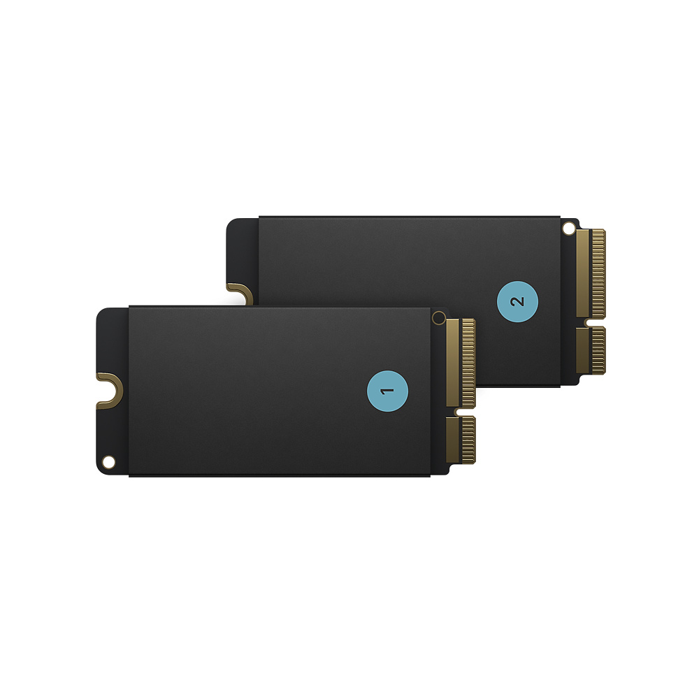 Жесткий диск Apple 1TB (2 x 512ГБ) SSD Kit для Mac&nbsp;Pro 2019