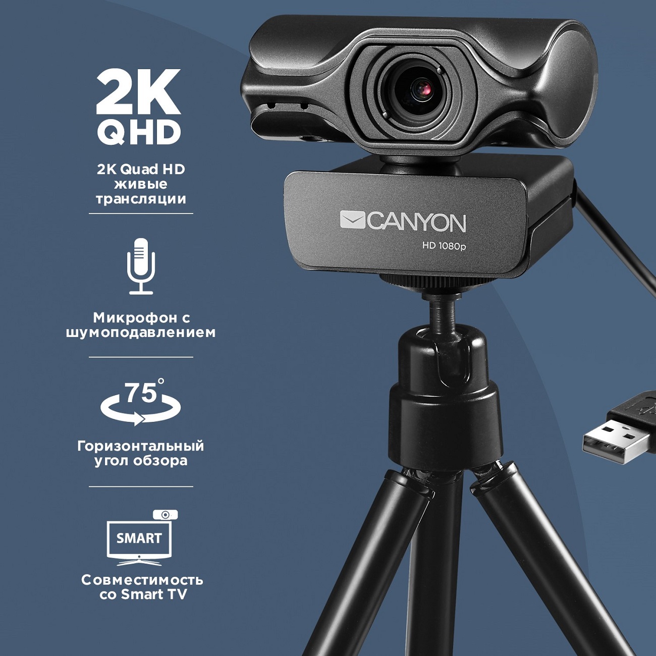 Web-камера Canyon CNS-CWC6N