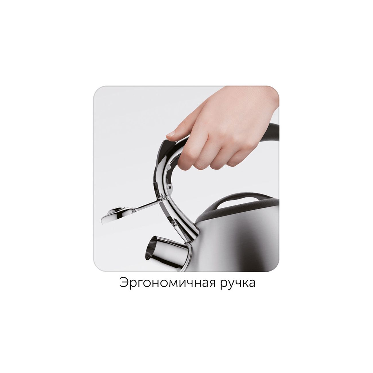 Чайник Nadoba Zelda 3л (731301)