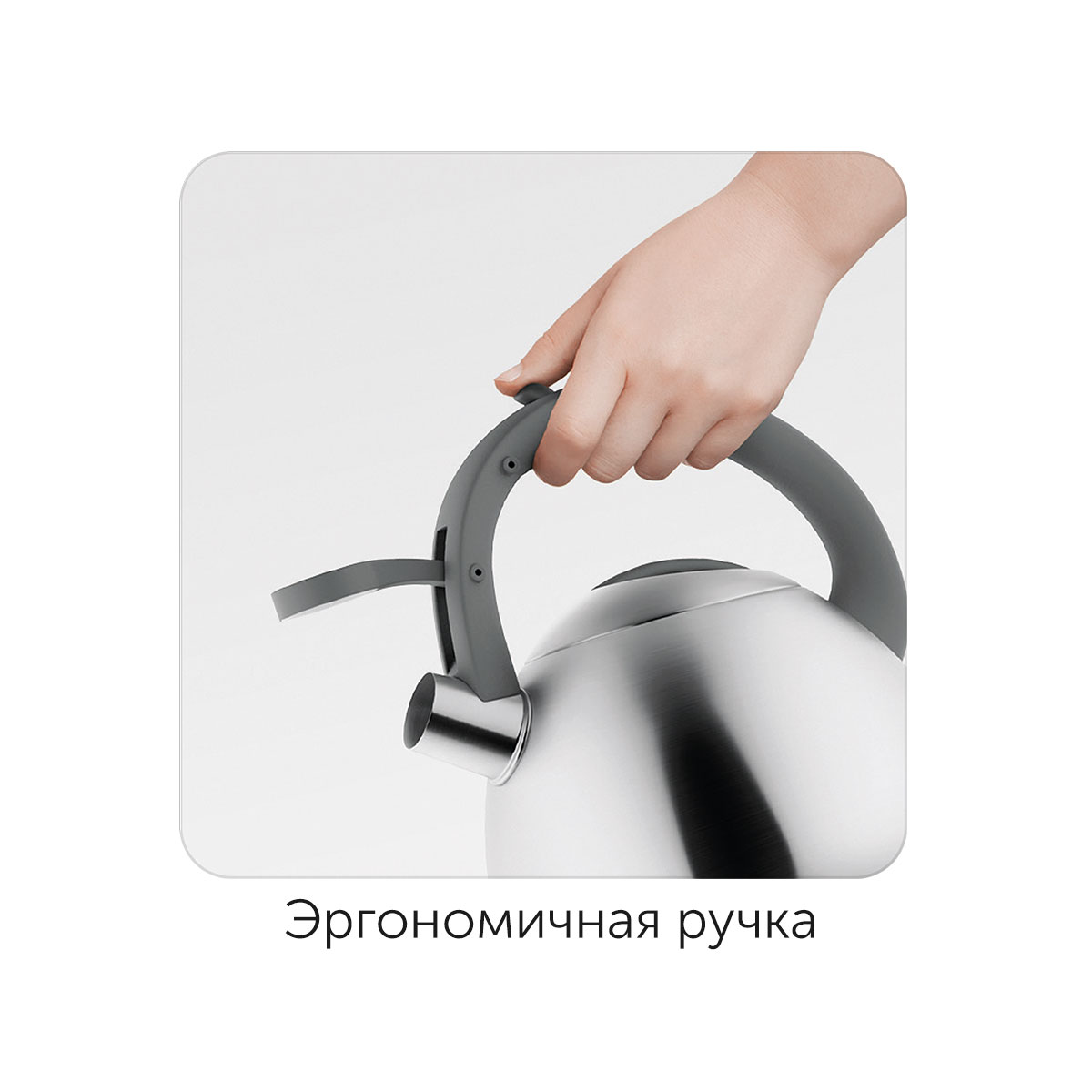 Чайник со свистком Nadoba Nita 2,7л (726902)