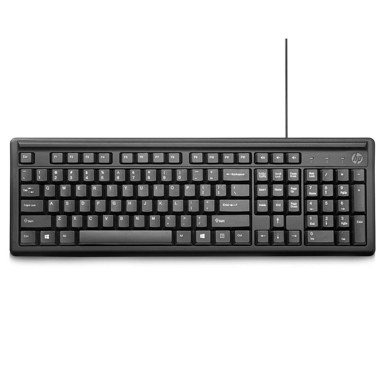Клавиатура проводная HP Keyboard 100 Russ (2UN30AA#ACB) фото