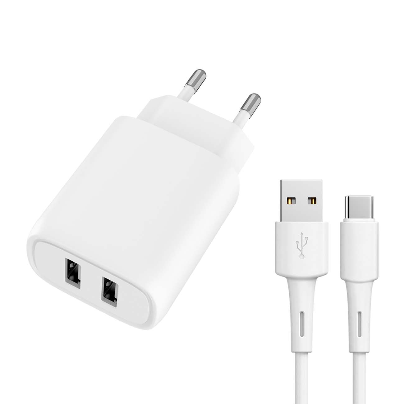 Сетевое зарядное устройство с кабелем TFN TFN-WC03