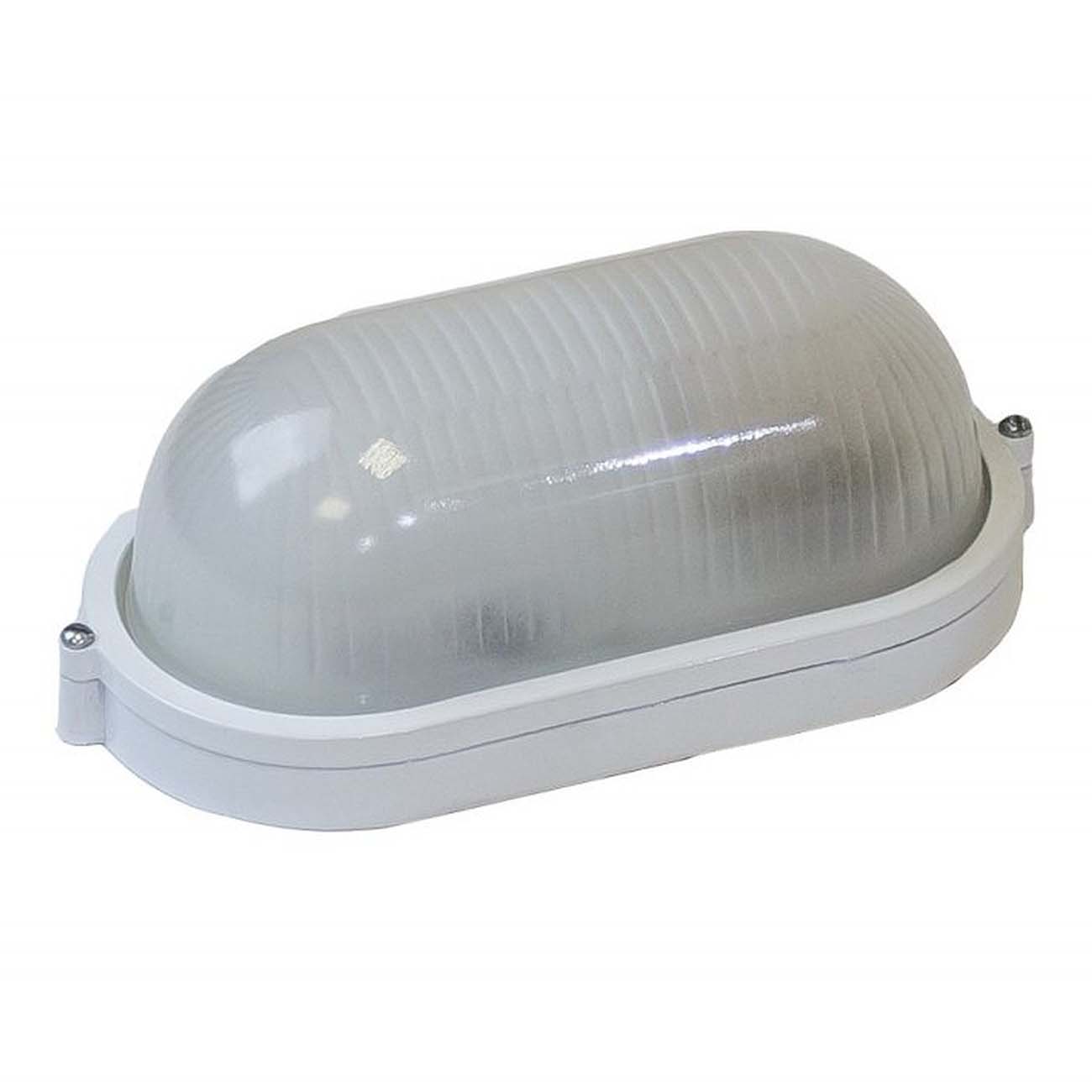 Светильник для ЖКХ ЭРА НБП 04-100-001