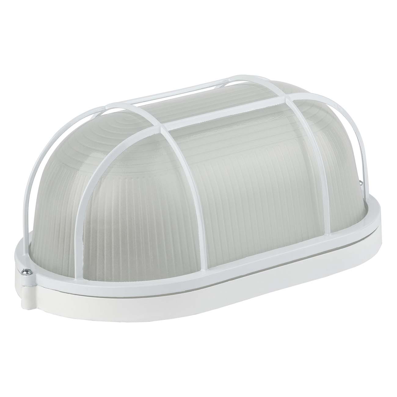 Светильник для ЖКХ ЭРА НБП 04-100-002