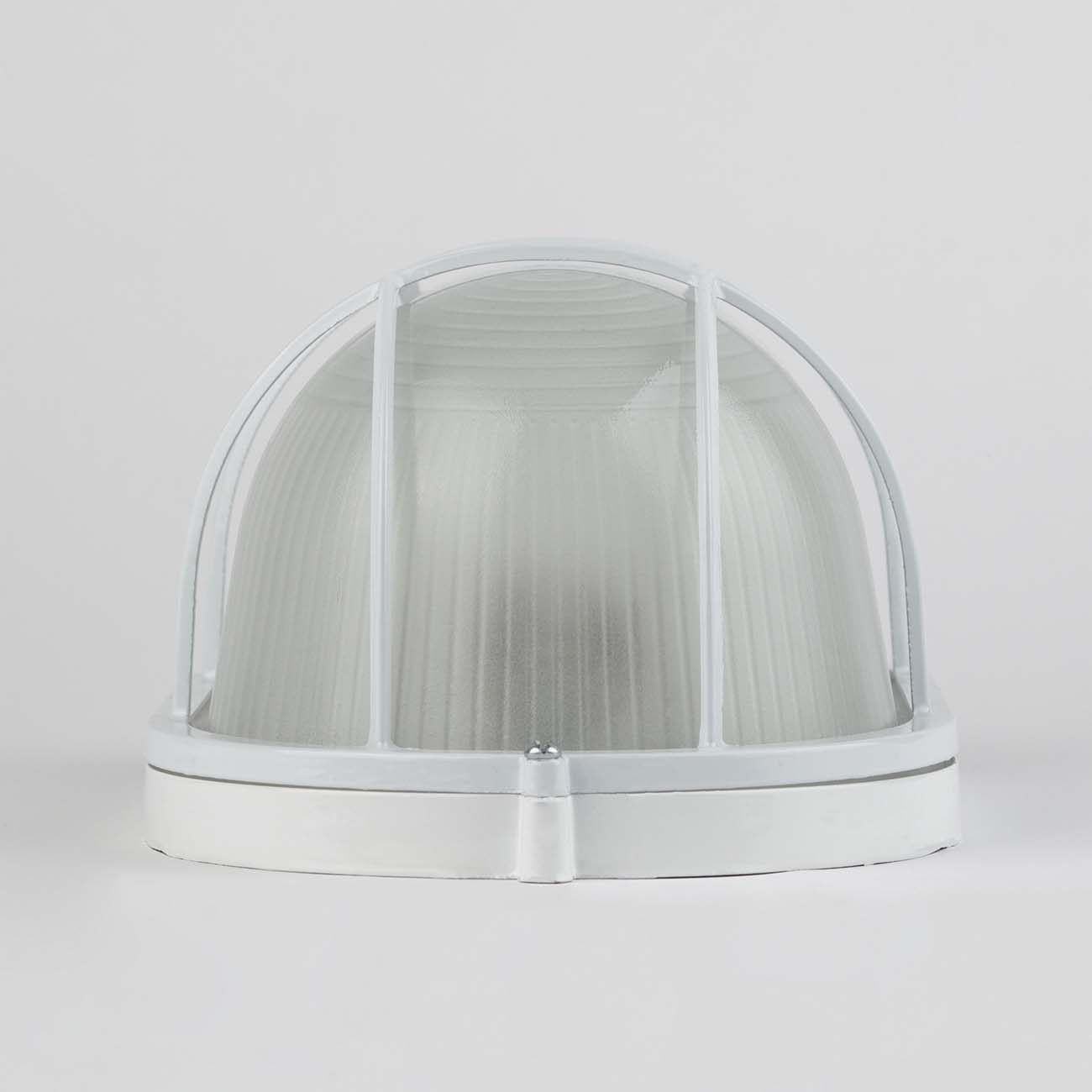 Светильник для ЖКХ ЭРА НБП 04-100-002