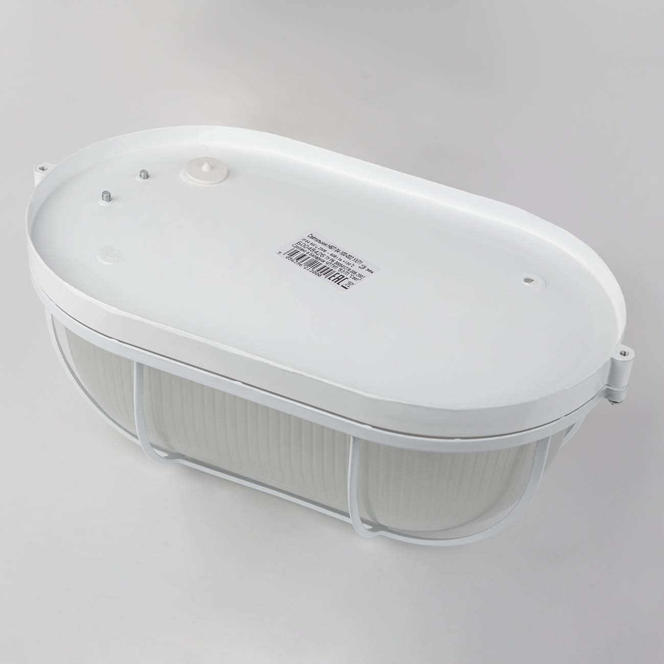 Светильник для ЖКХ ЭРА НБП 04-100-002