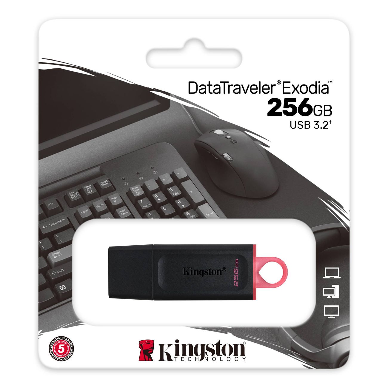 Флеш-диск Kingston DataTraveler Exodia 256GB USB 3.2 (DTX/256GB)