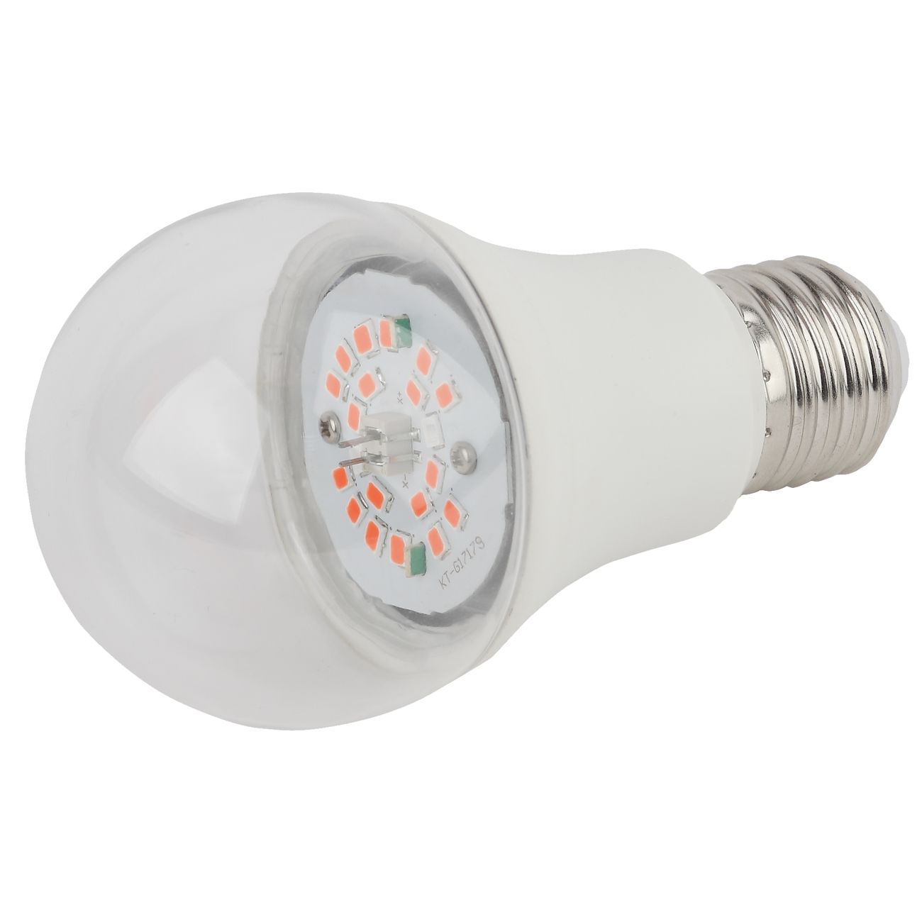 Лампа ЭРА FITO-10W-RB-E27-K фото
