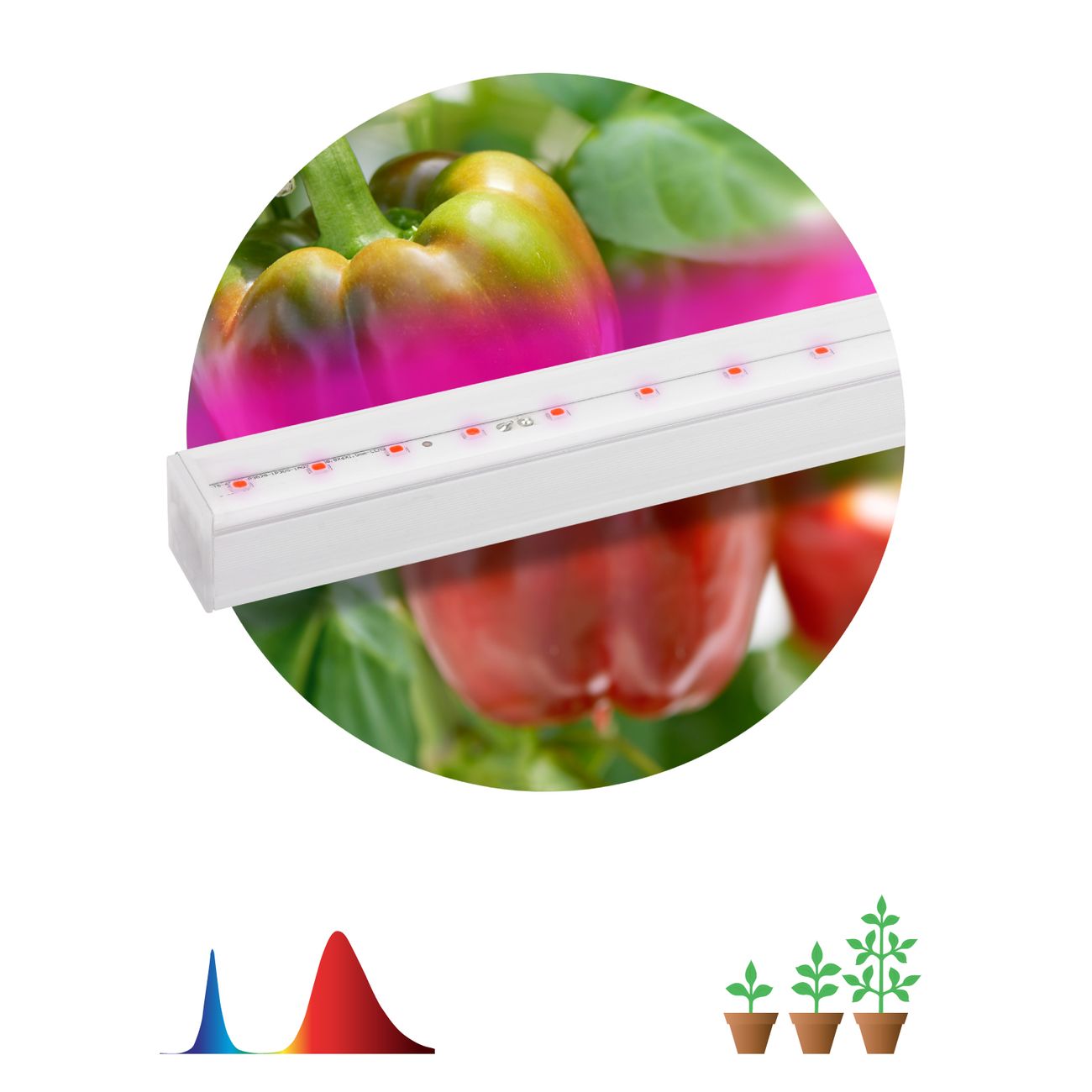 Светильник ЭРА FITO-16W-Т5-N