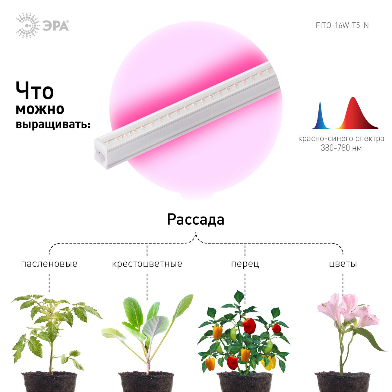 Светильник ЭРА FITO-16W-Т5-N