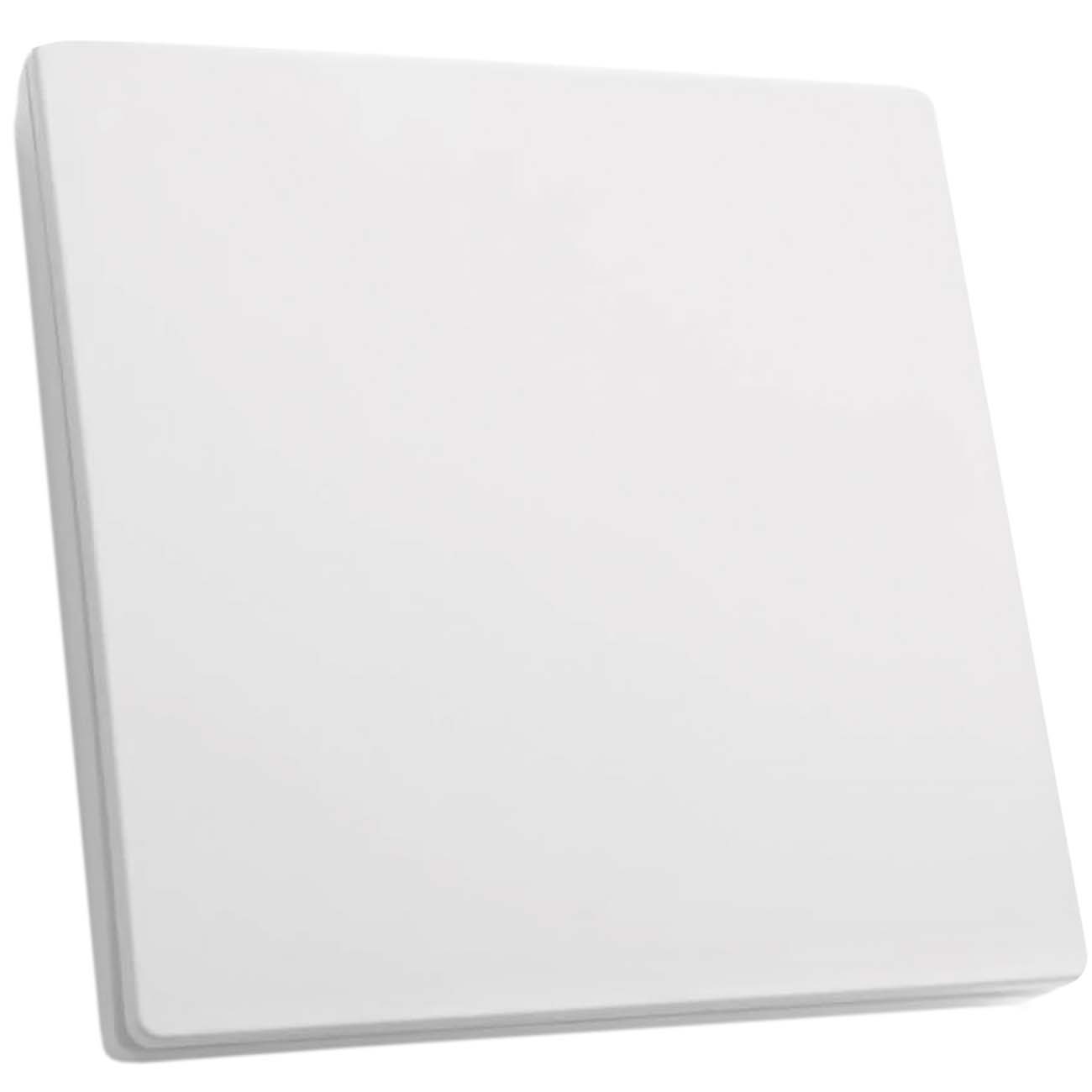 Выключатель Feron 230V 500W одноклавишный (TM81)