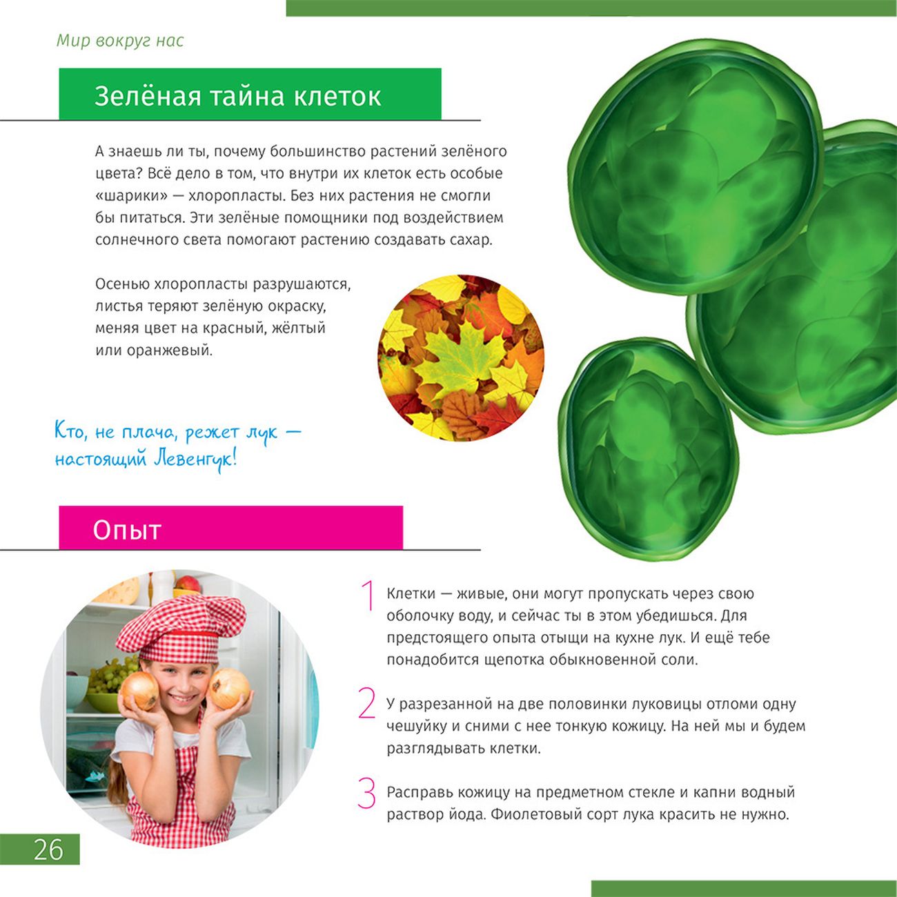 Детский микроскоп Levenhuk Nano Terra 77962